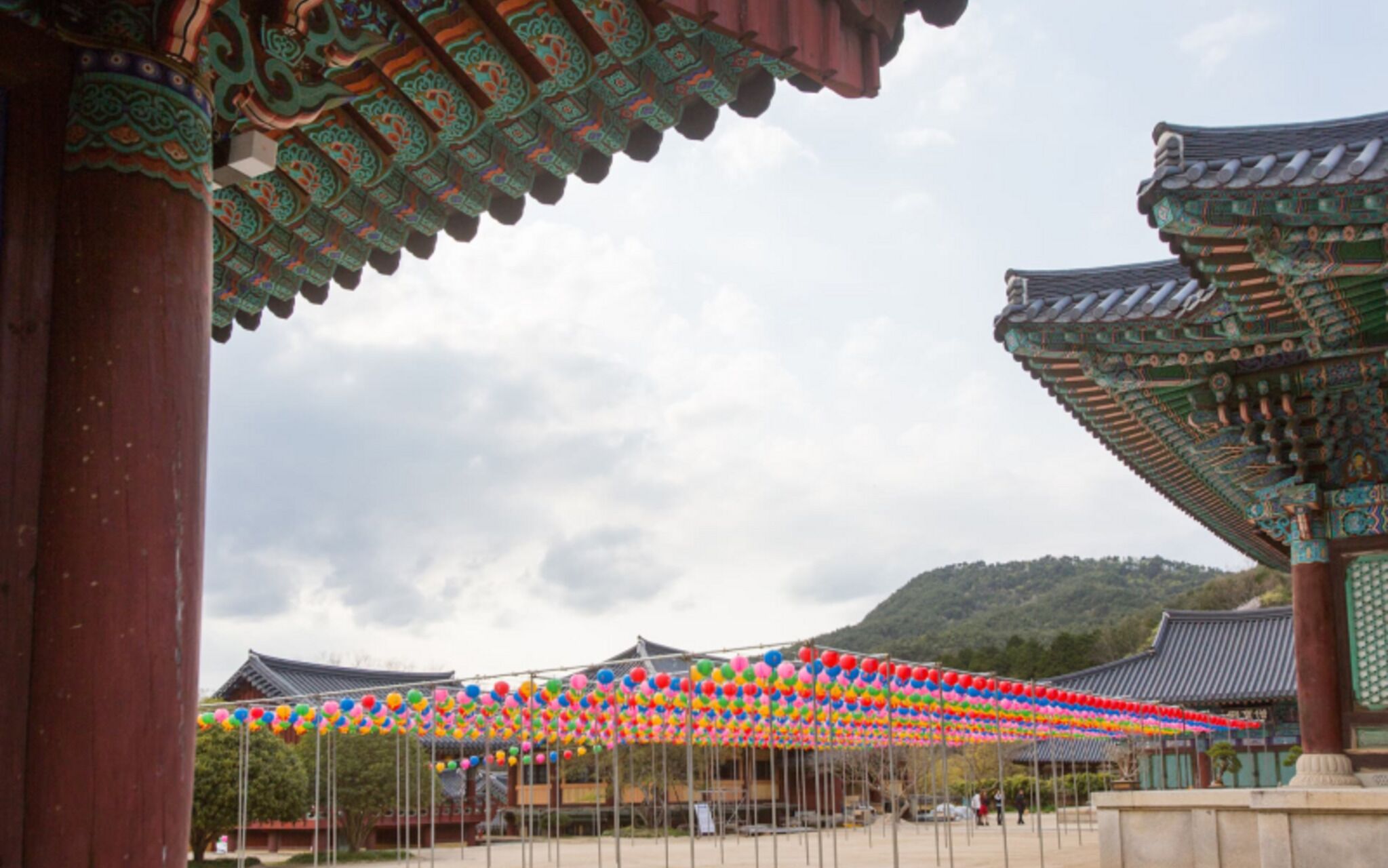Yangpyeong Live Healing Pension