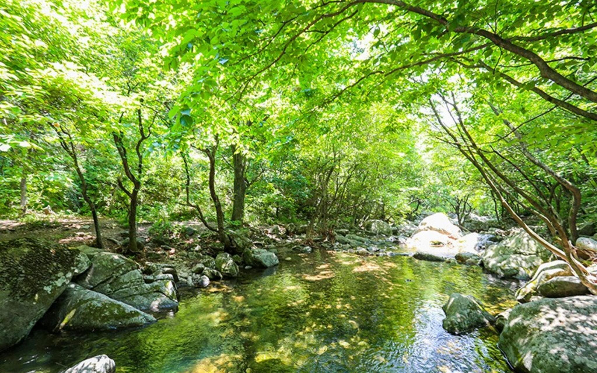 Yangpyeong Live Healing Pension
