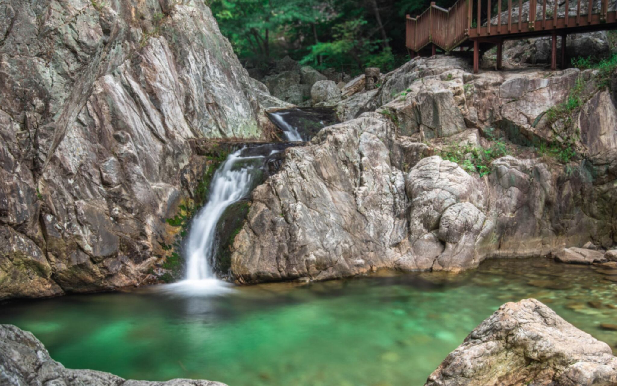 Yangpyeong Live Healing Pension