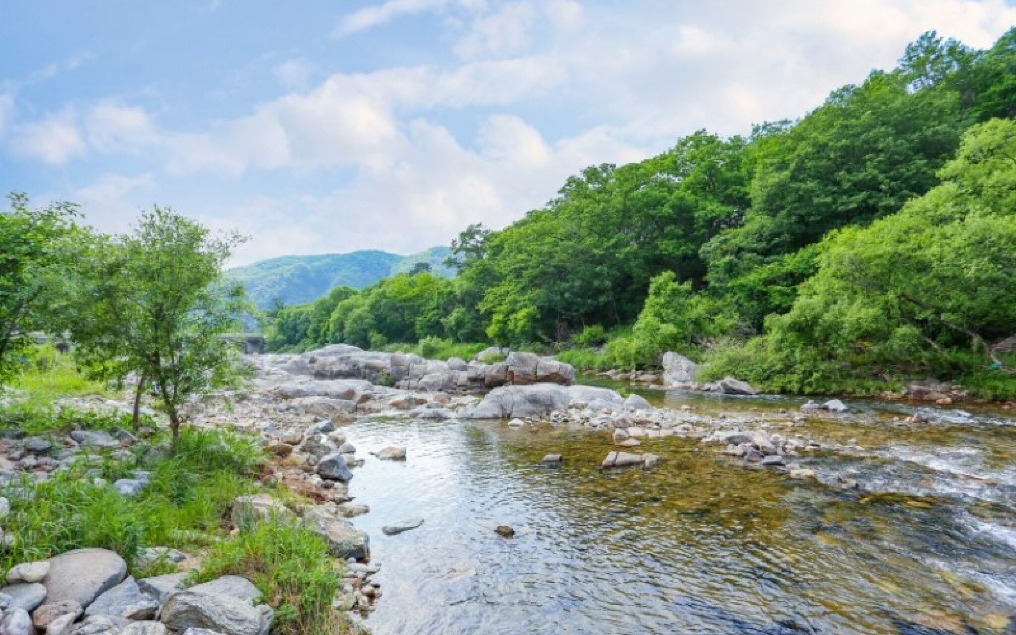 Yangpyeong Mountain Yard Pension