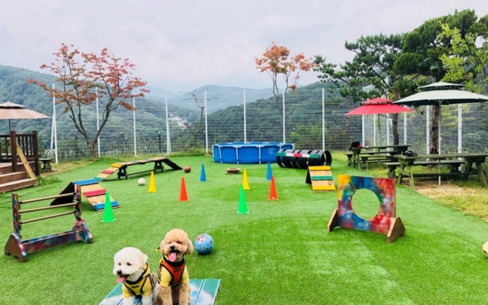 Yangpyeong Palace Resort