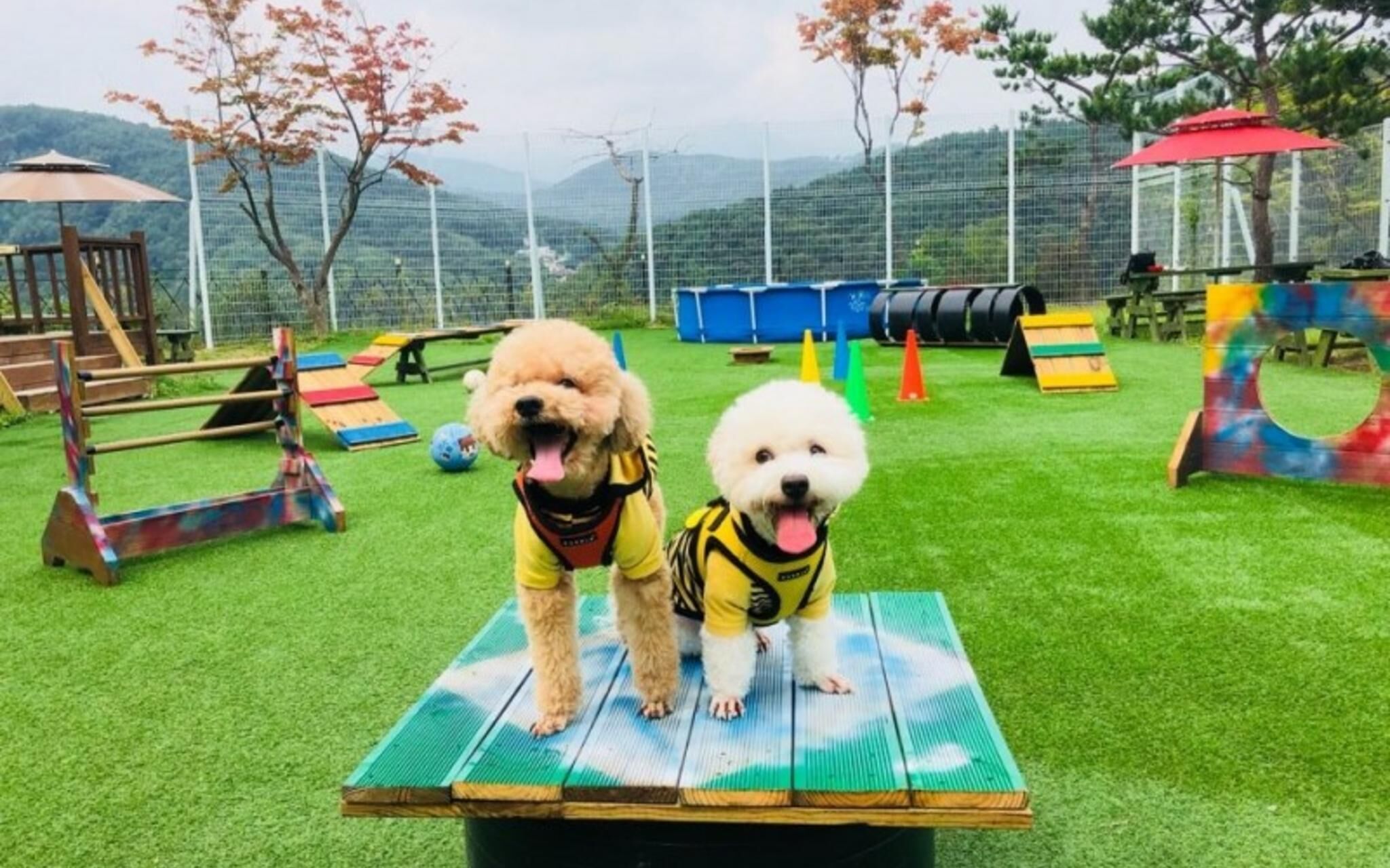 Yangpyeong Palace Resort