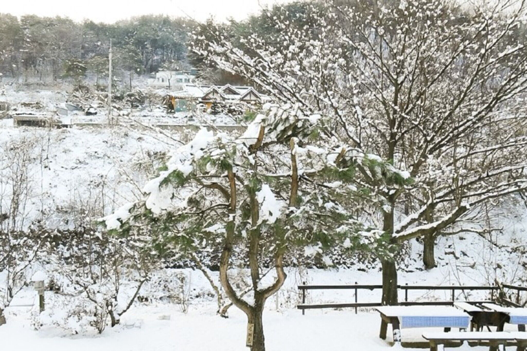 Yangpyeong Pension ANN