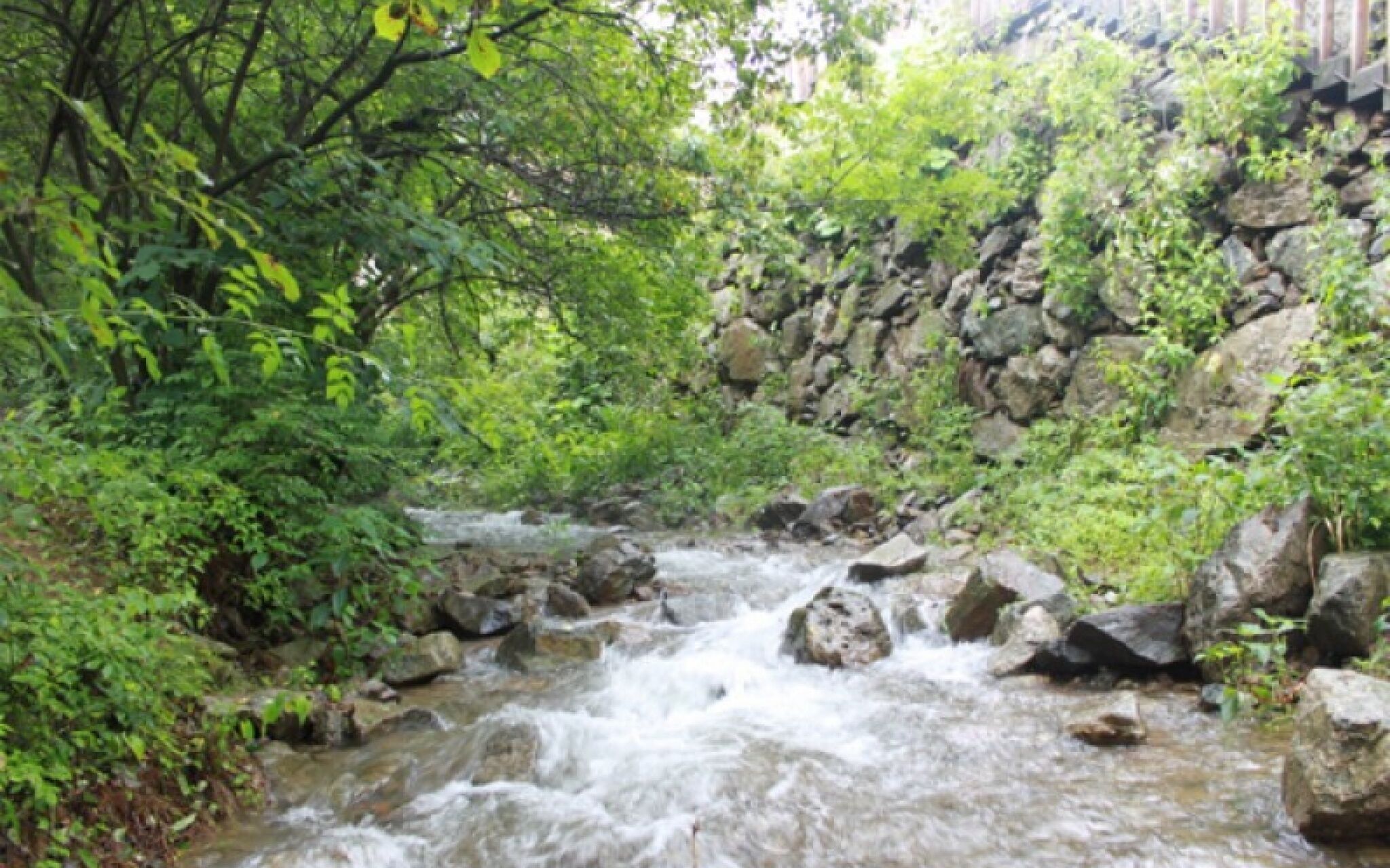Yangpyeong Pension Forest