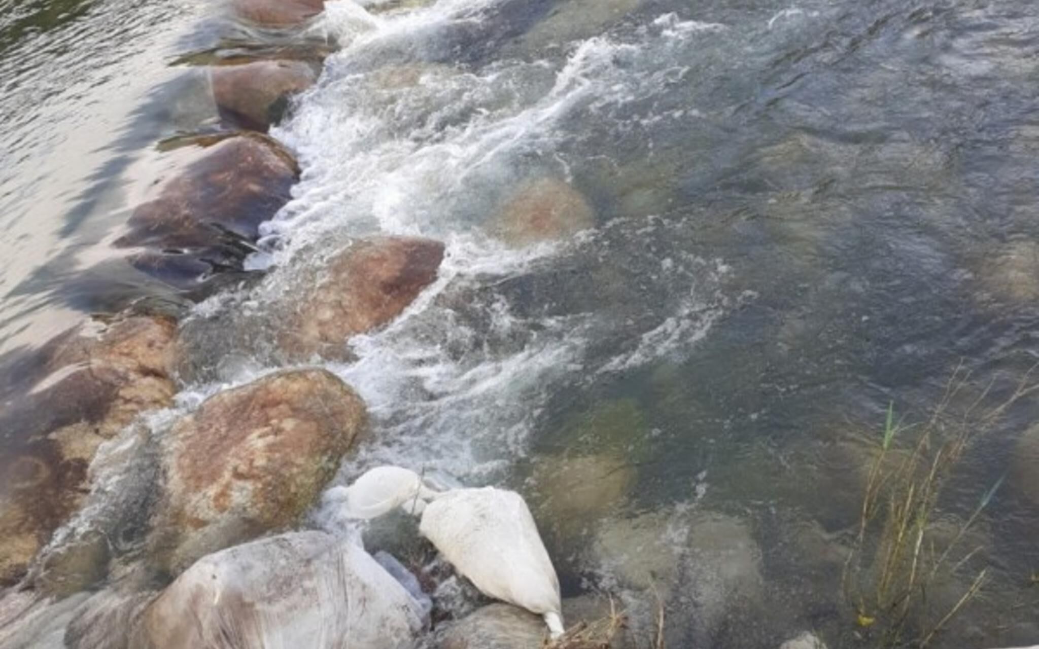 Yangpyeong Popperas Spa Pension