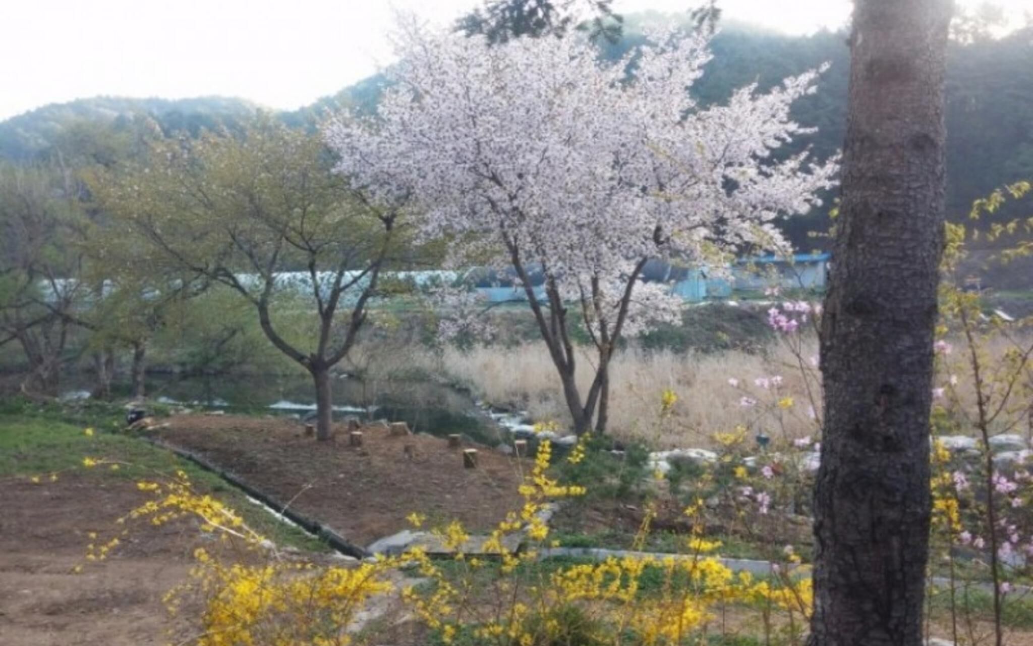 Yangpyeong Popperas Spa Pension