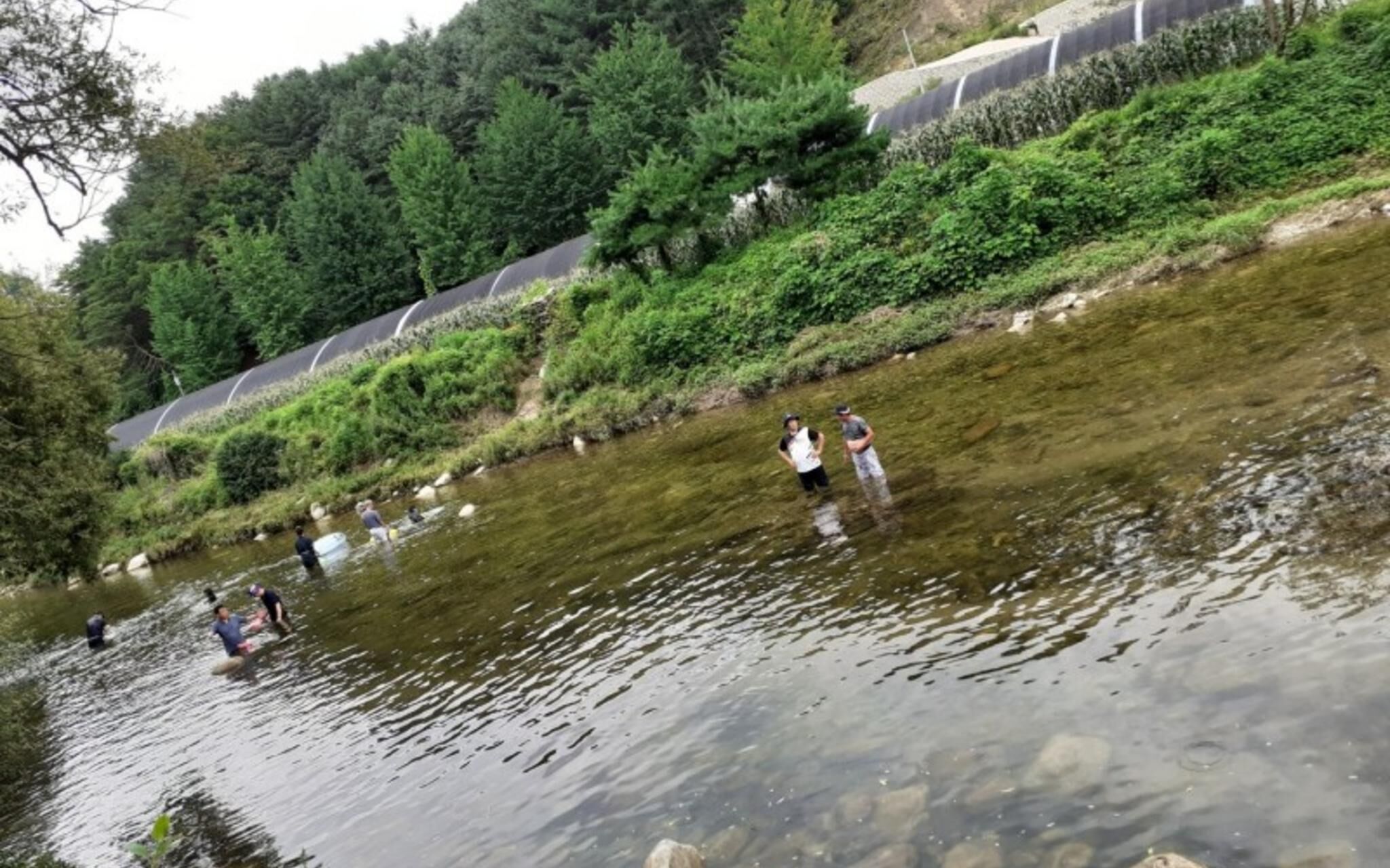 Yangpyeong Popperas Spa Pension