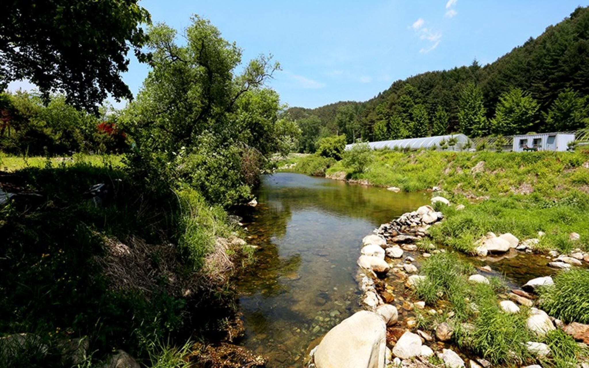 Yangpyeong Popperas Spa Pension