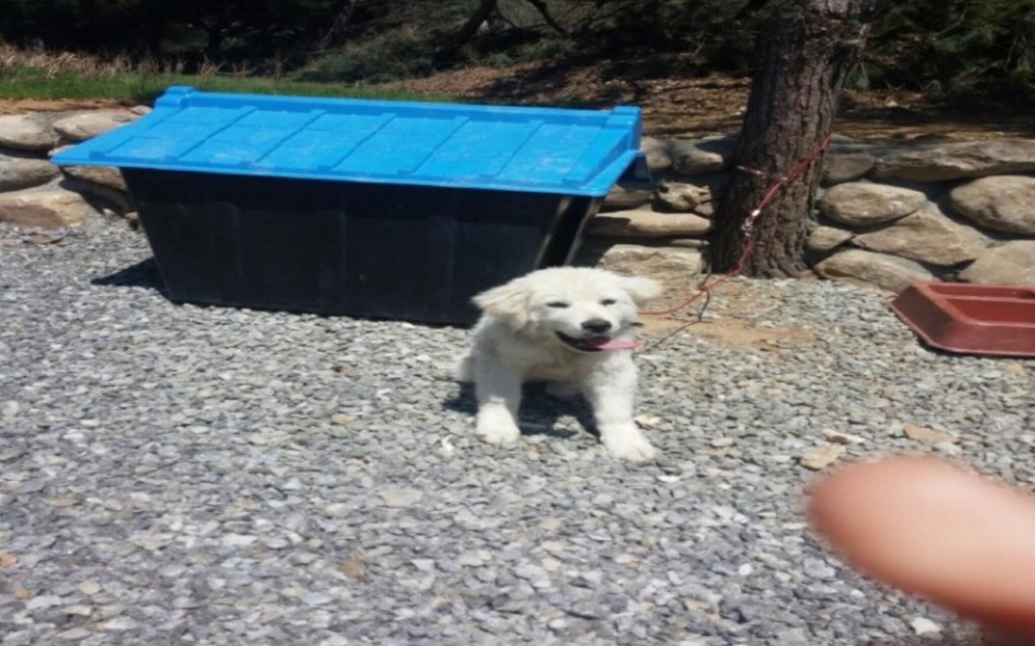 Yangpyeong Popperas Spa Pension