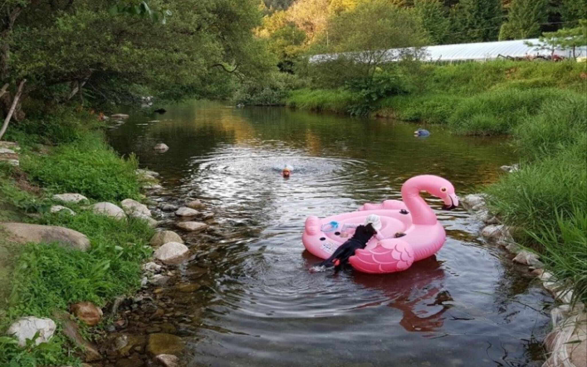 Yangpyeong Popperas Spa Pension