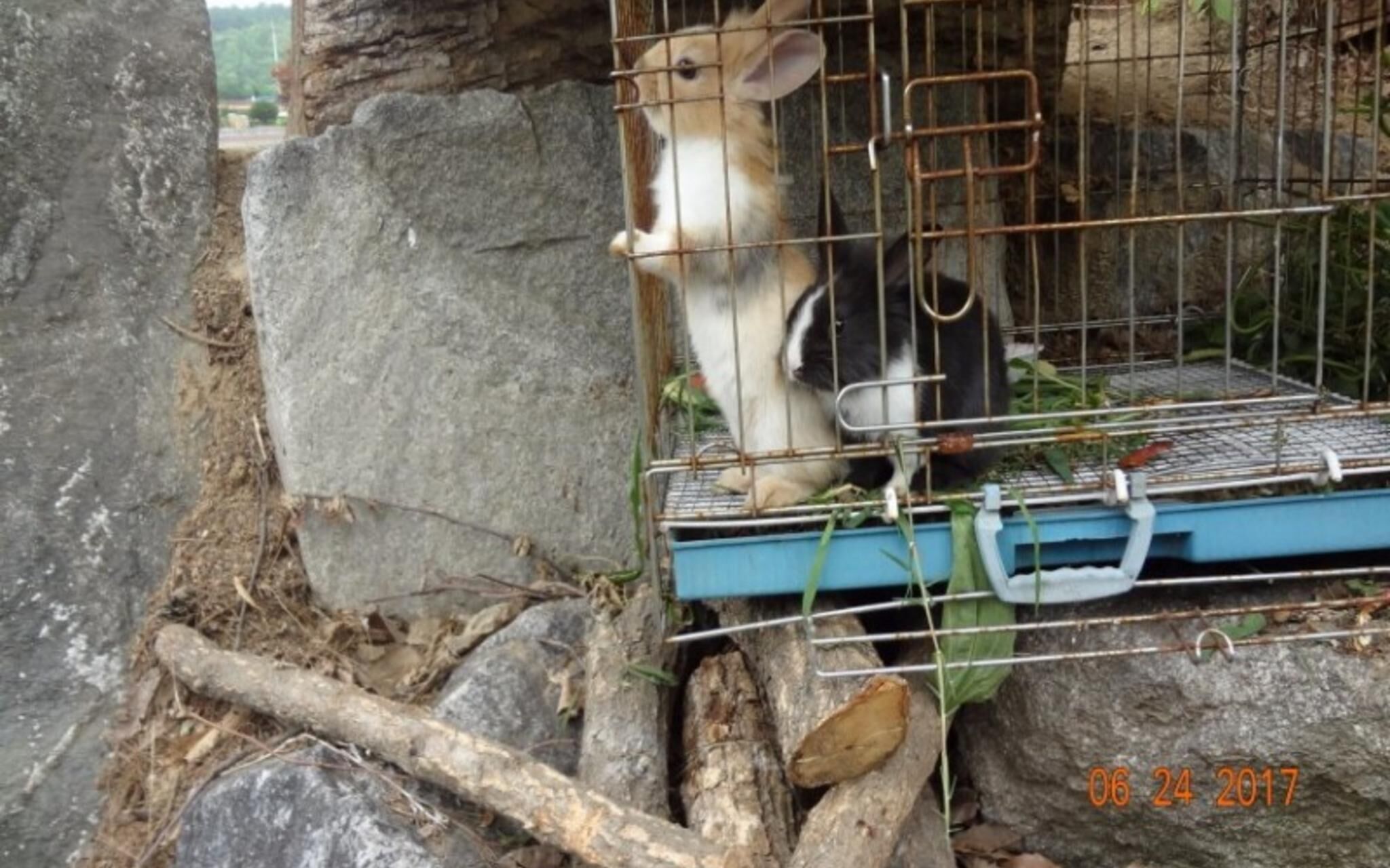 Yangpyeong Popperas Spa Pension