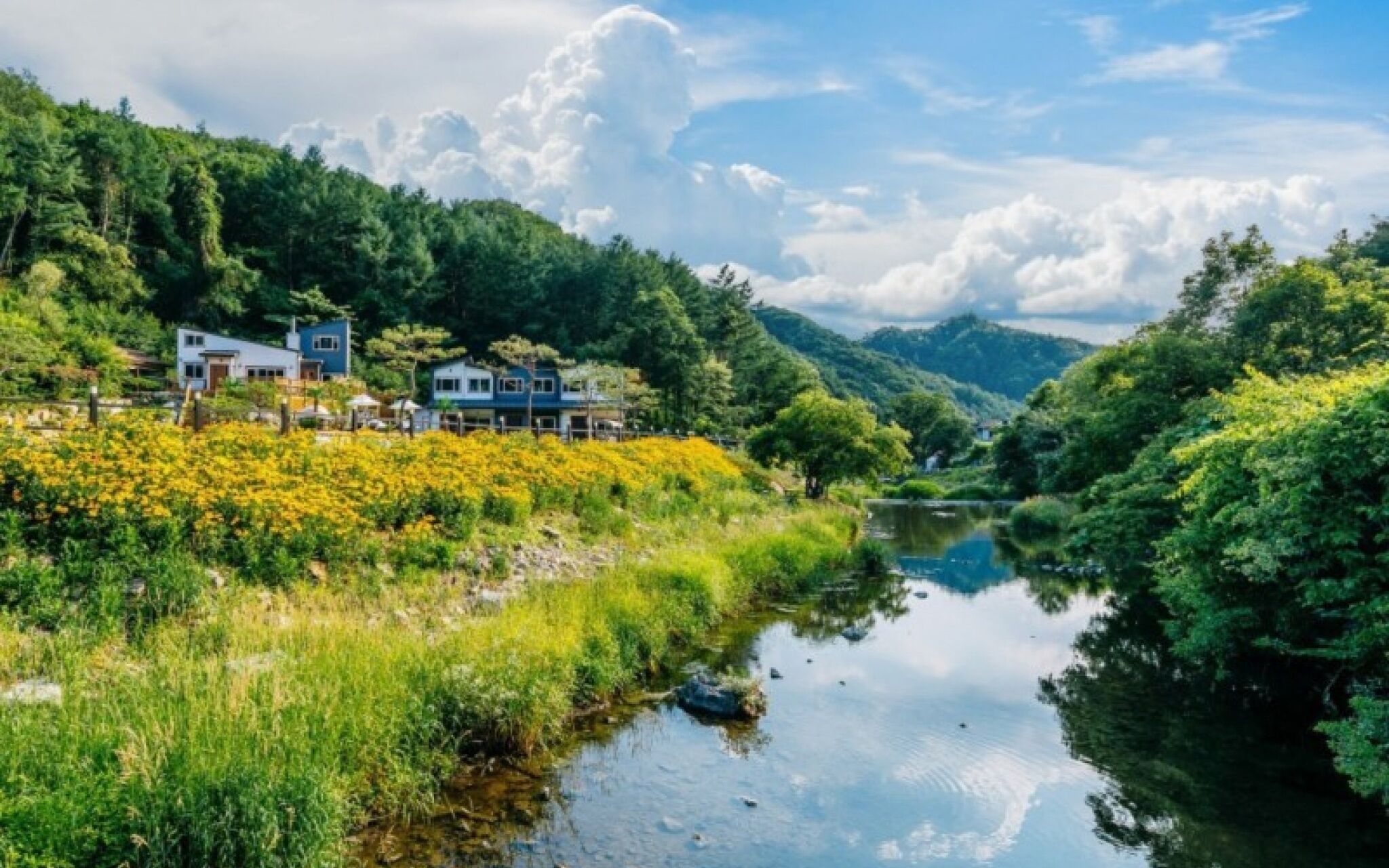 Yangpyeong Rosedale Pension