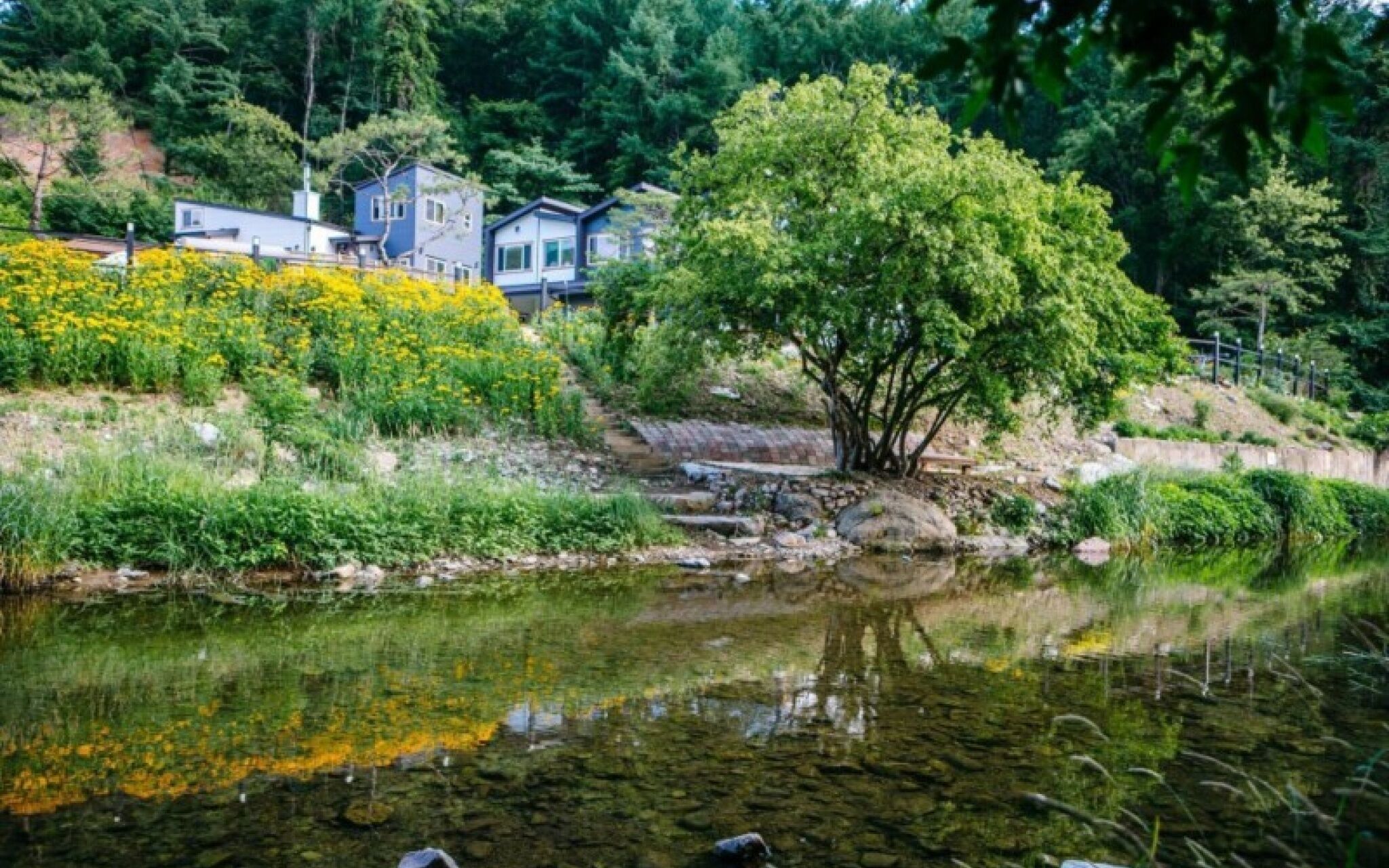 Yangpyeong Rosedale Pension