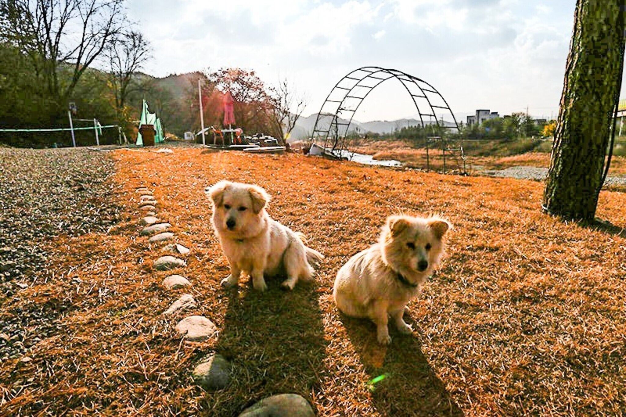 Yangpyeong San and Gang Pension