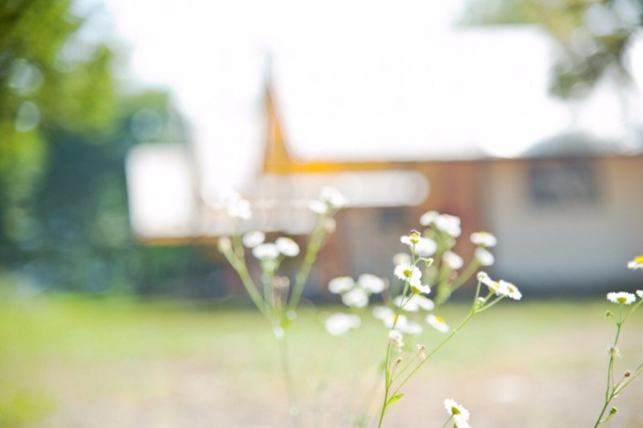Yangpyeong Sanarae Glamping