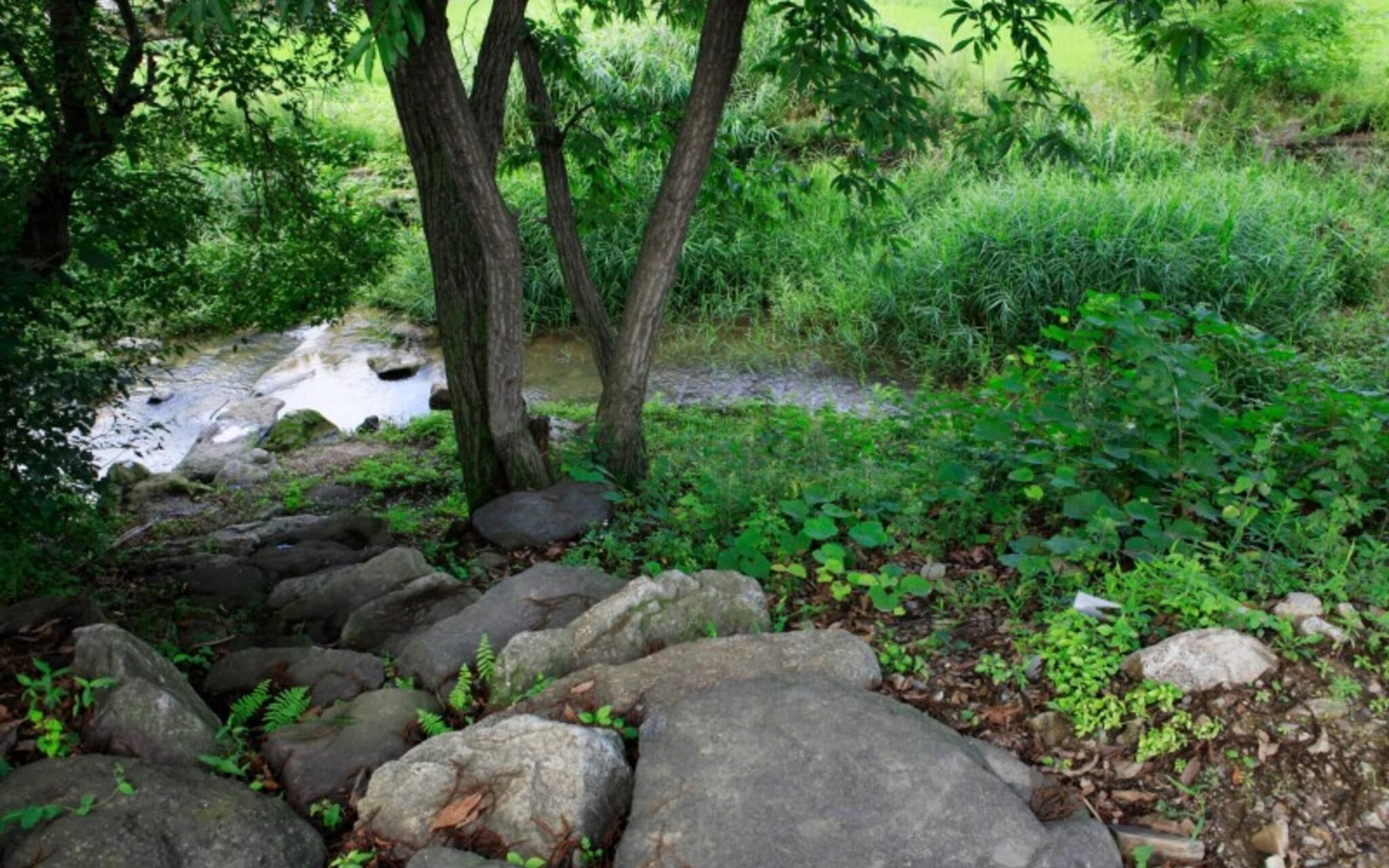 Yangpyeong Seohu Eco Village Pension