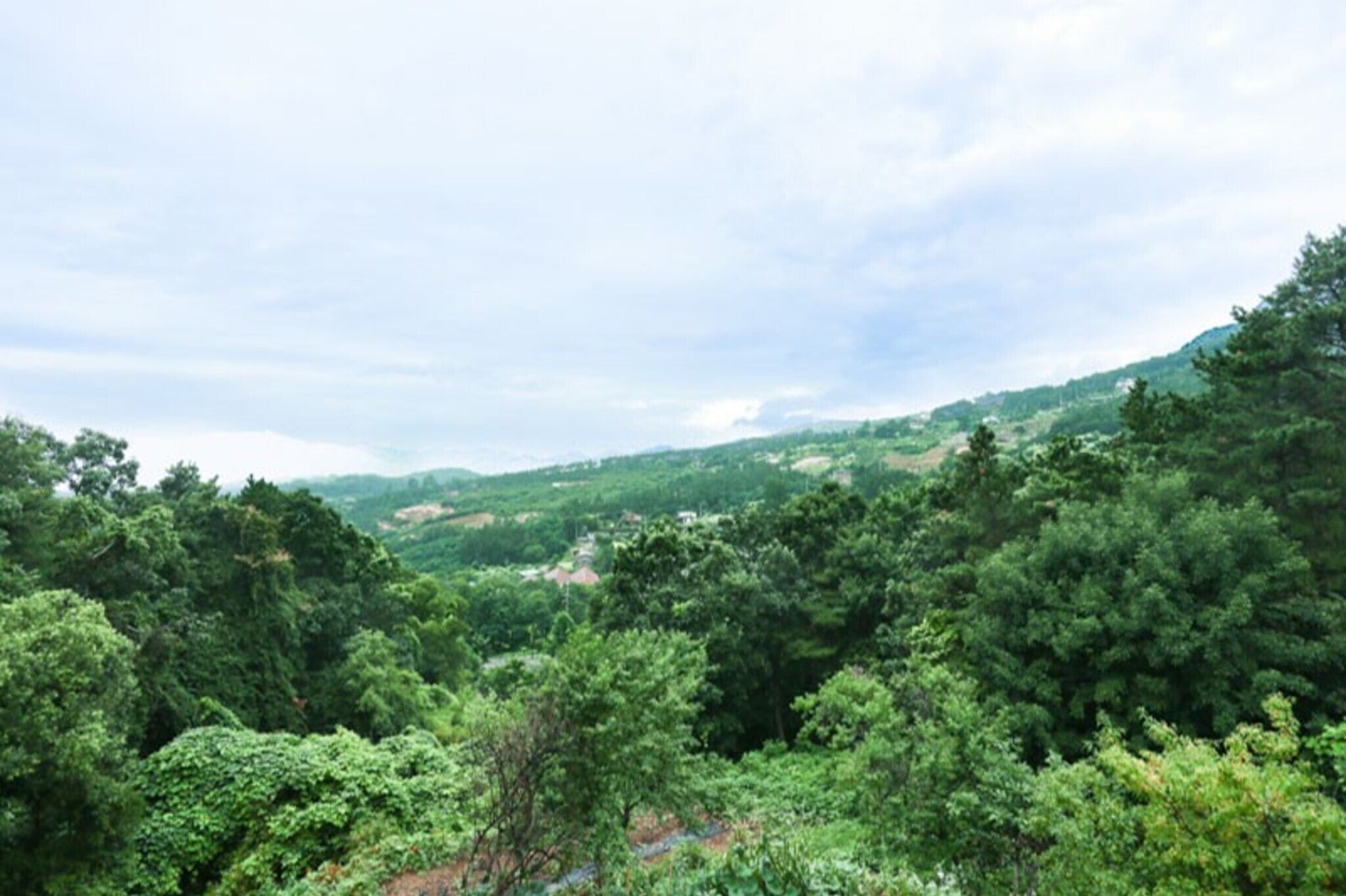 Yangpyeong Shija House Pension