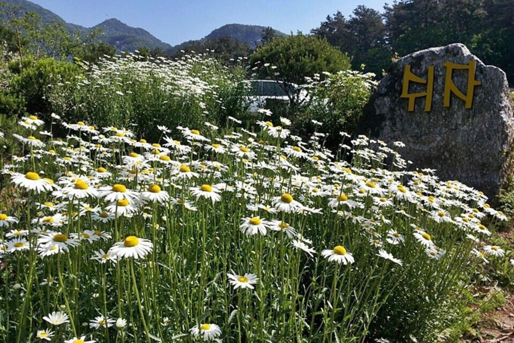 Yangpyeong Shija House Pension