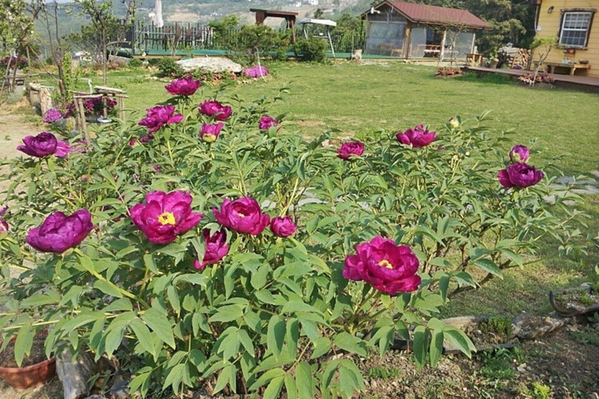 Yangpyeong Shija House Pension