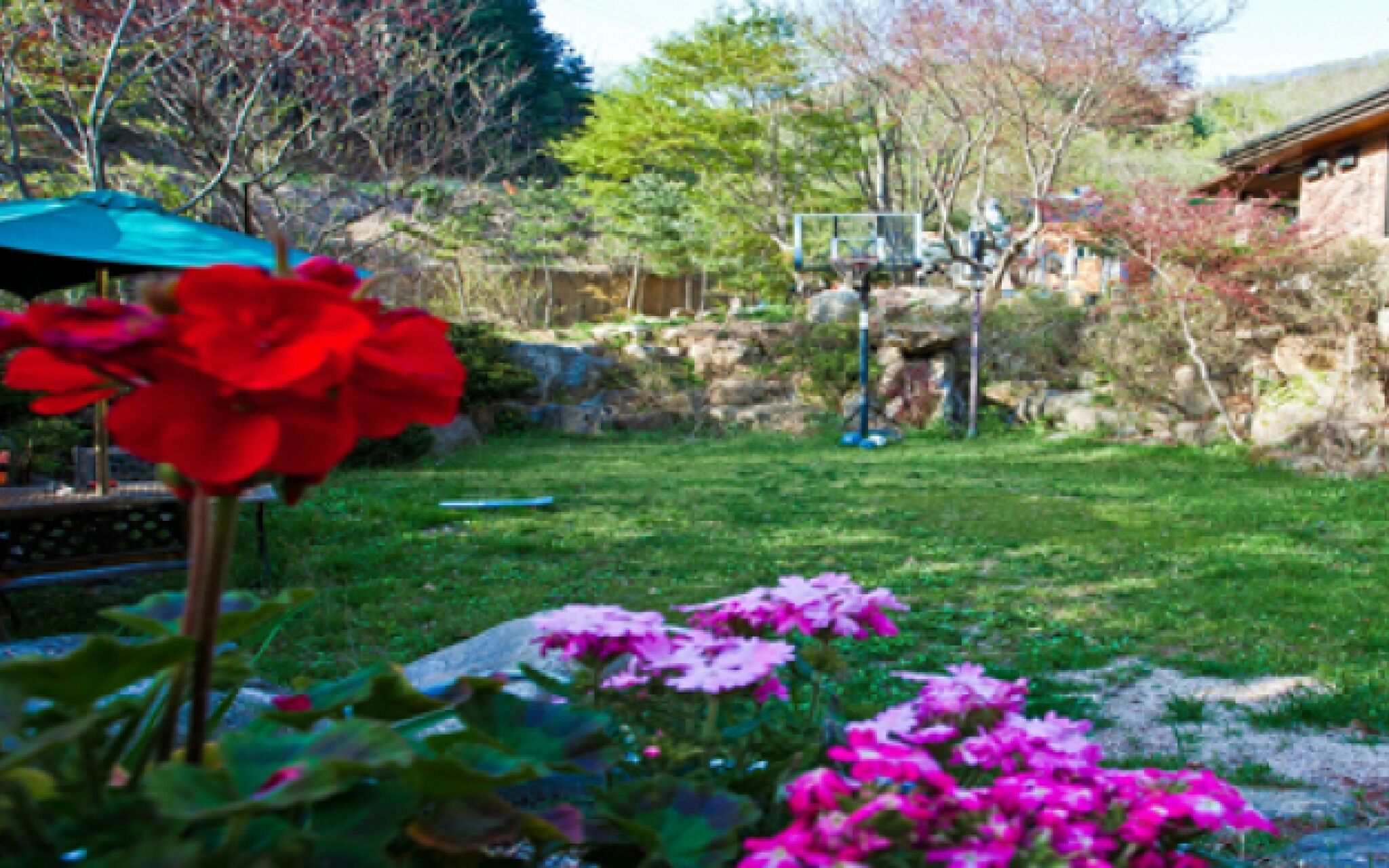Yangpyeong Terra Pension