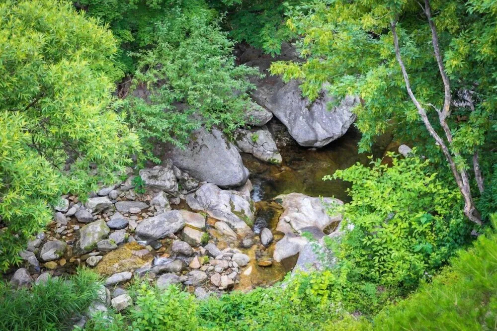 Yangpyung Lavin Pension