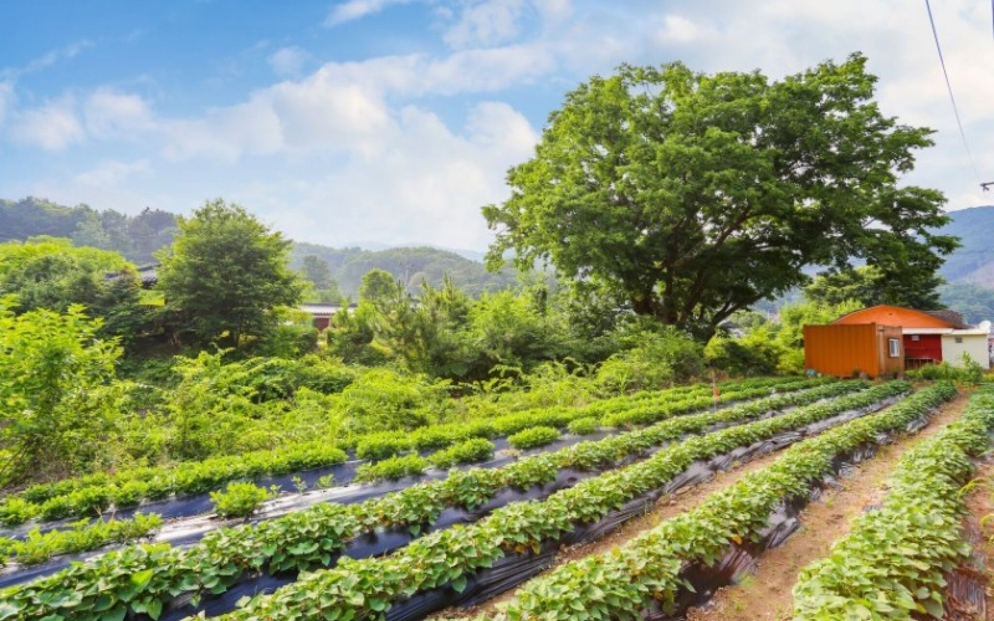 Yeoju Hana Pension