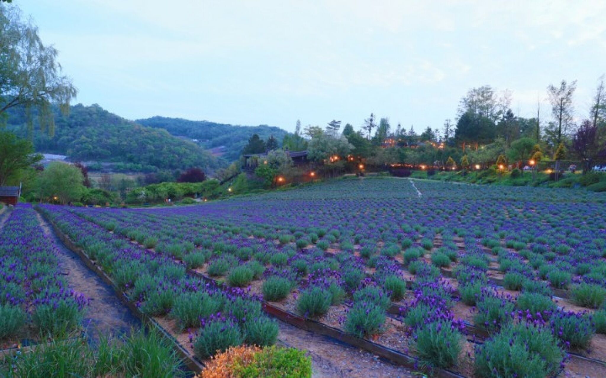 Yeoncheon Herb Village Pension