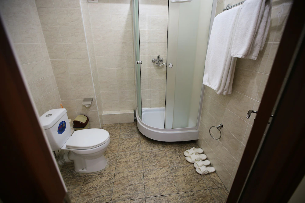 Altai Business Hotel
