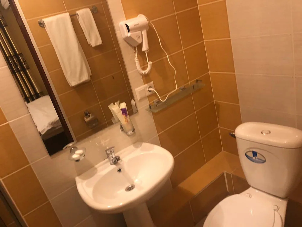 Altai Business Hotel