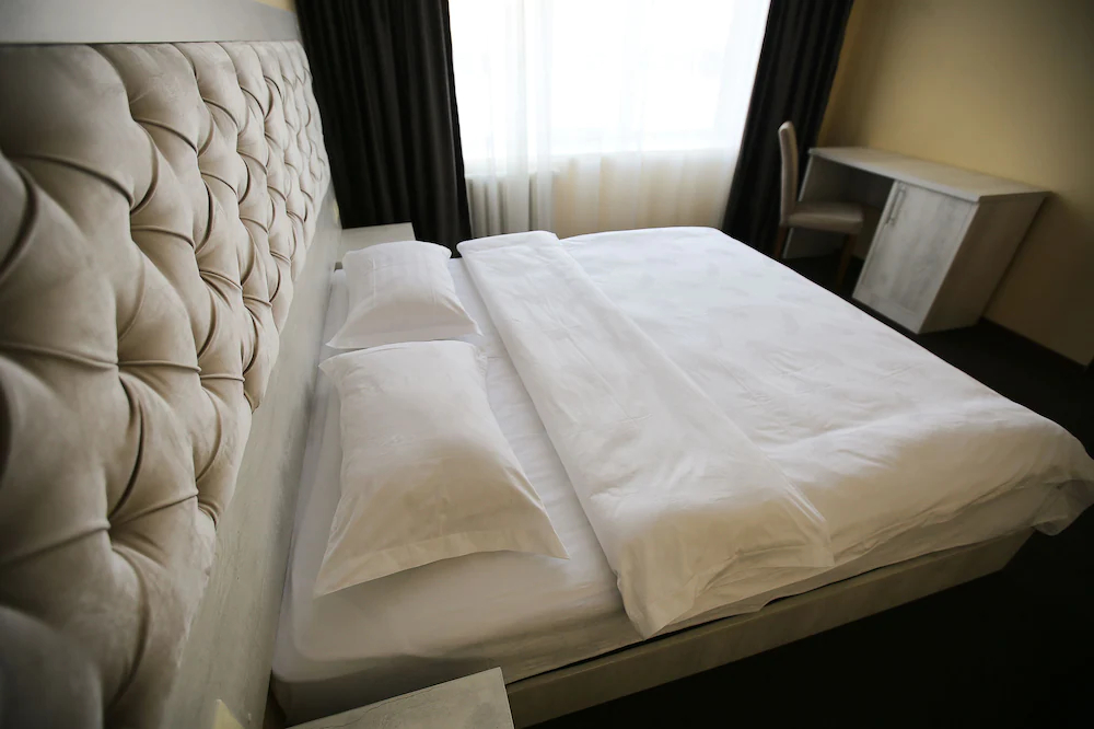 Altai Business Hotel