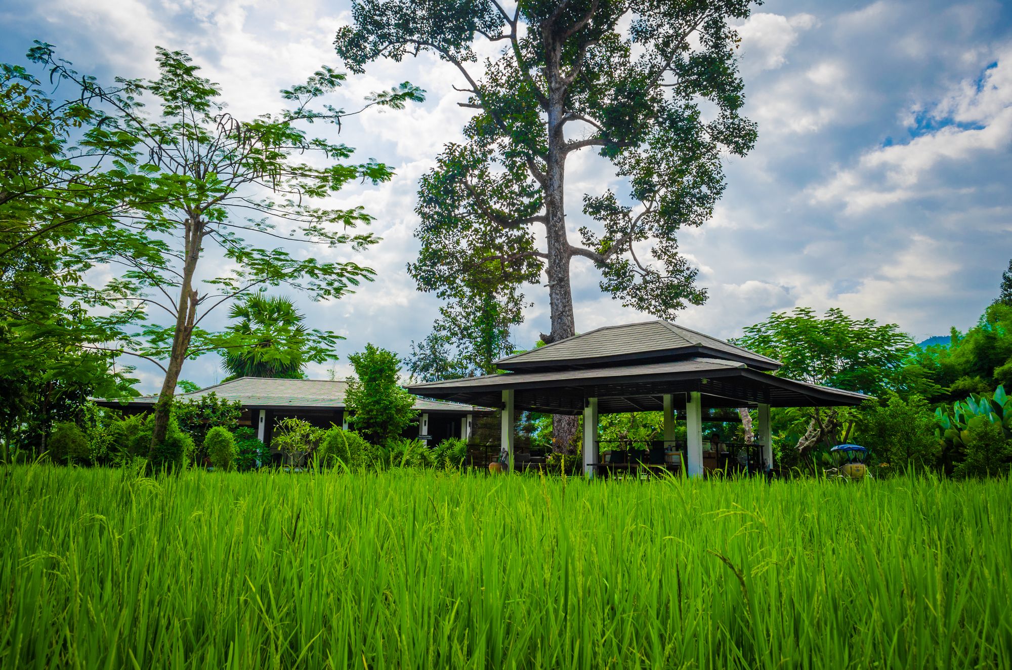 The River Resort