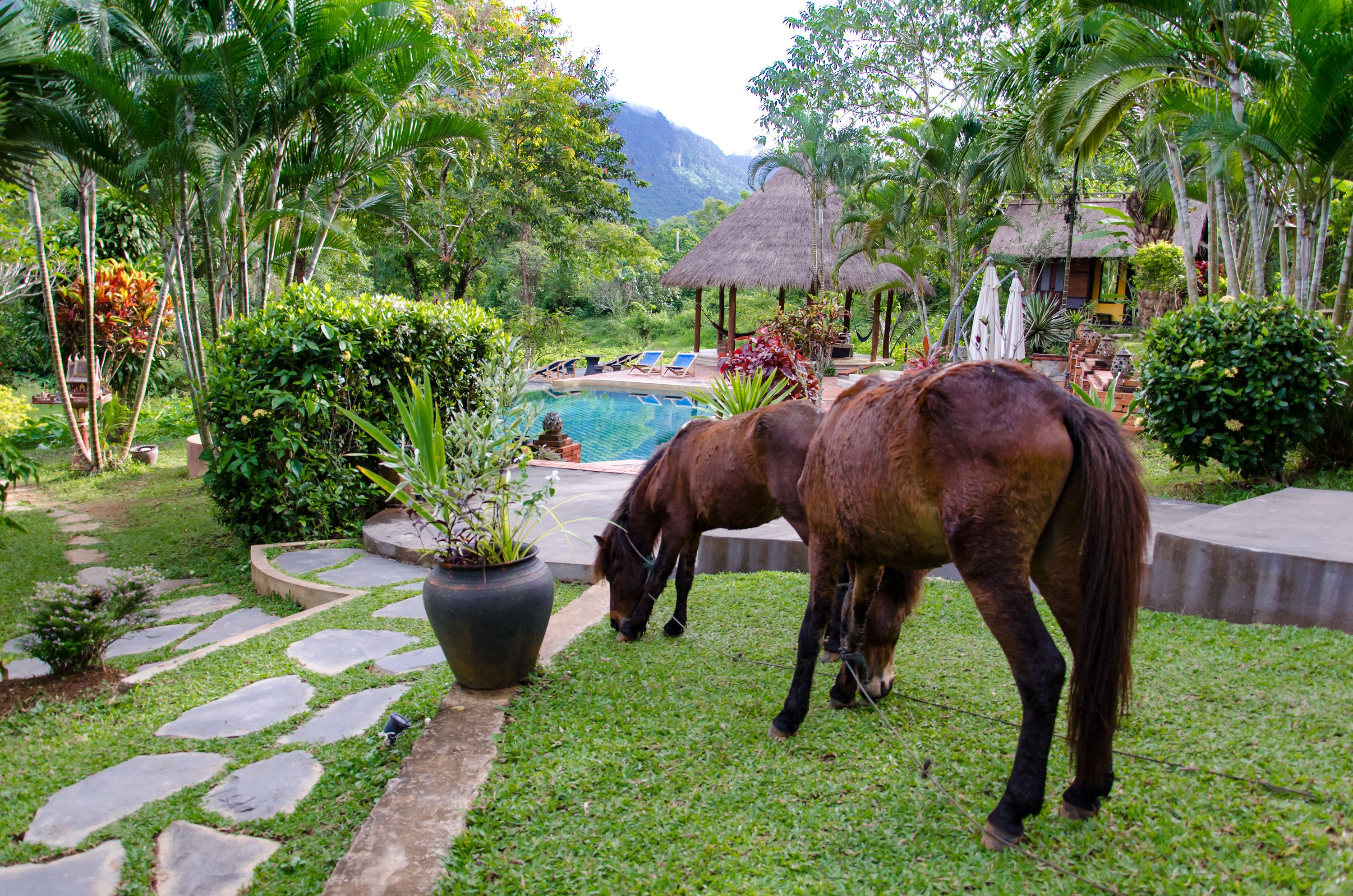 Hillside - Nature Lifestyle Lodge