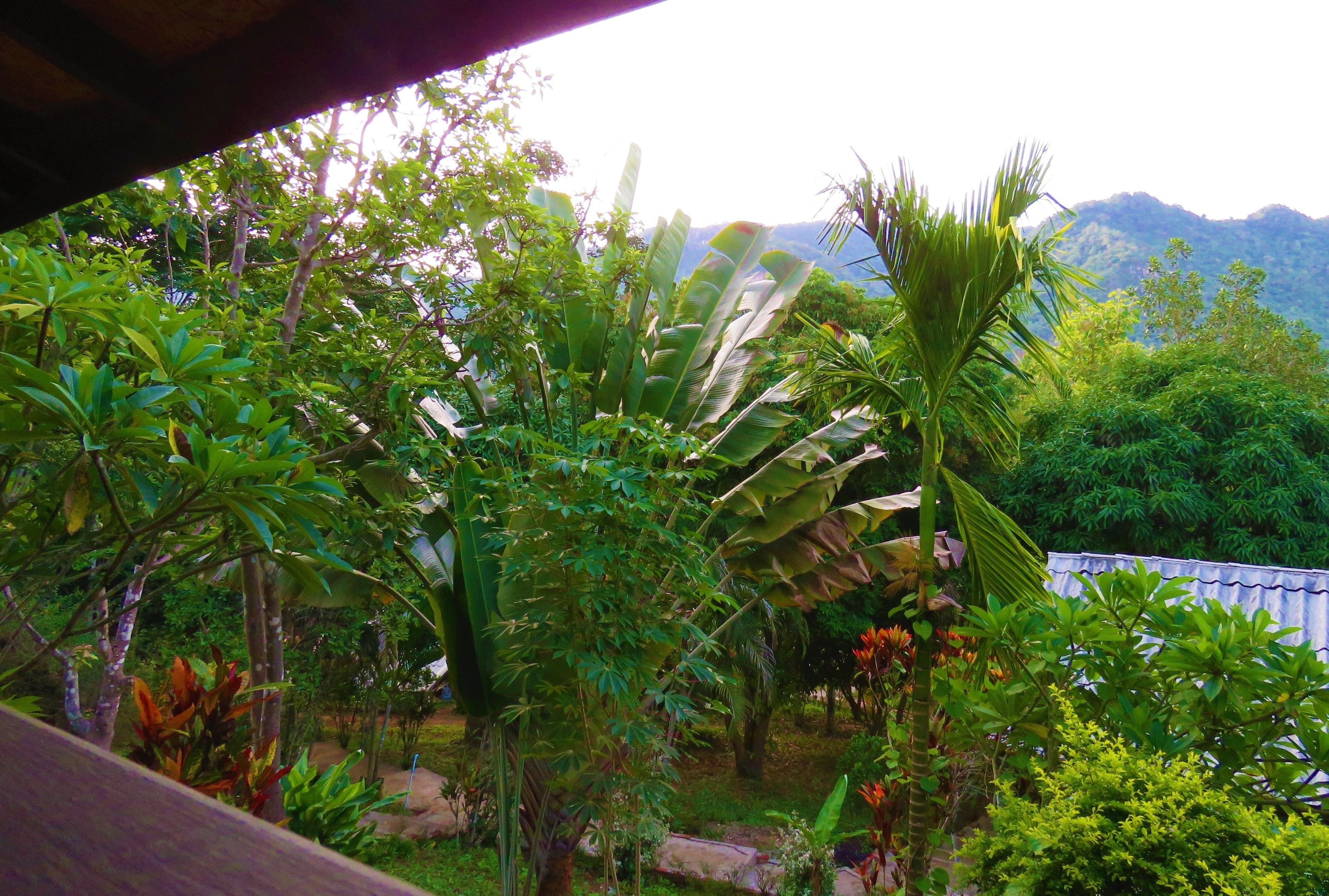 Hillside - Nature Lifestyle Lodge