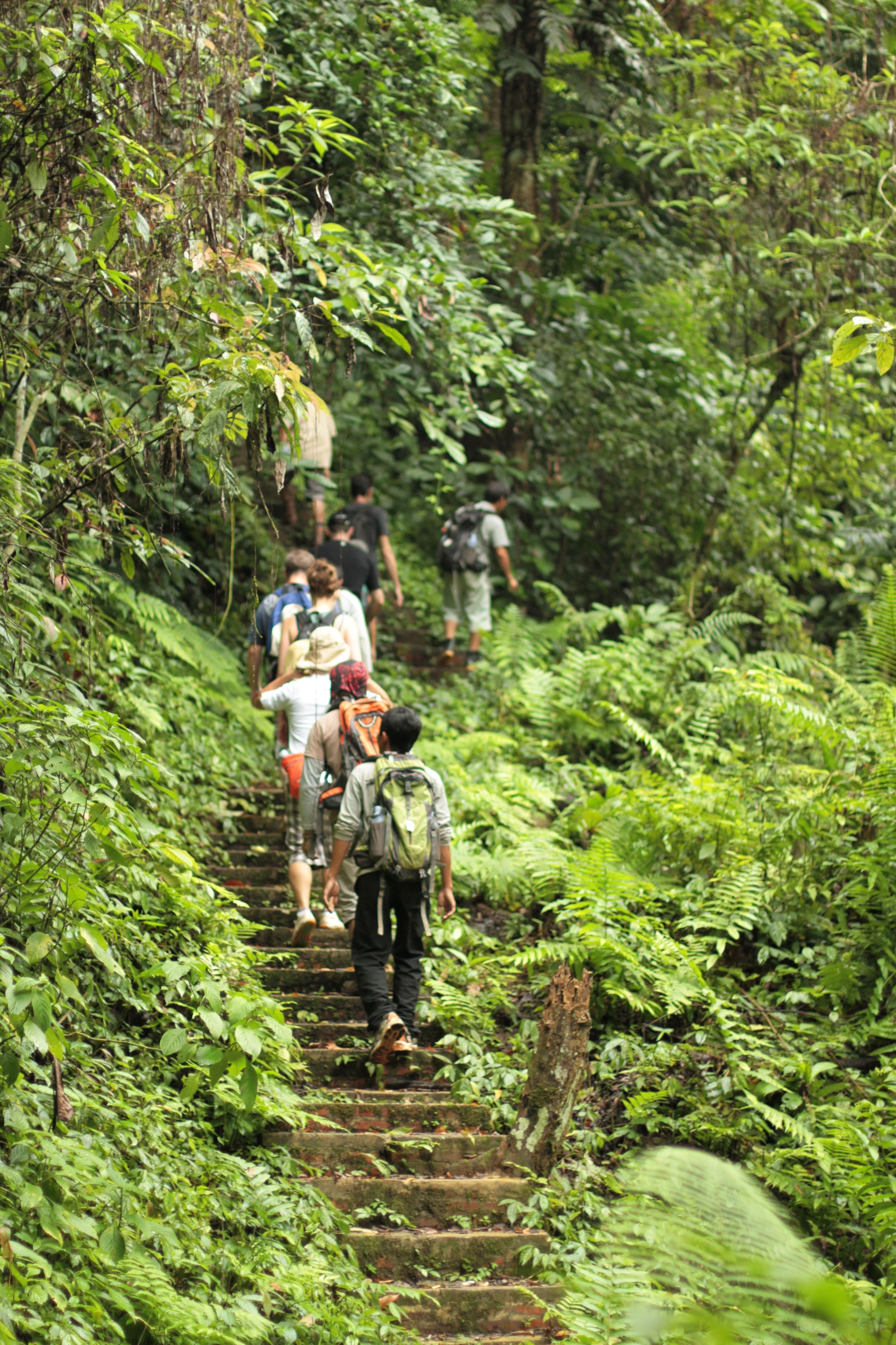 Hillside - Nature Lifestyle Lodge