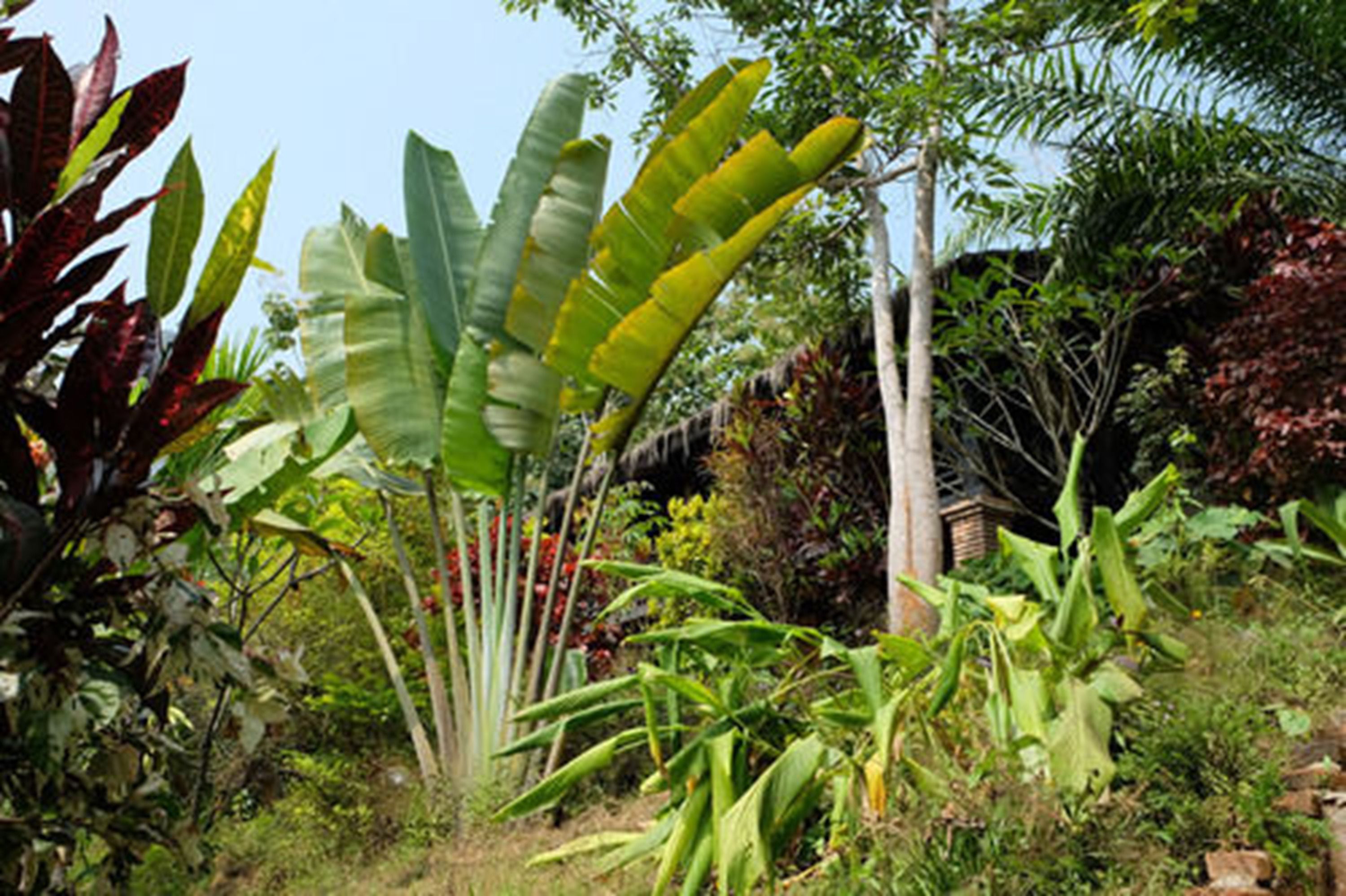 Hillside - Nature Lifestyle Lodge