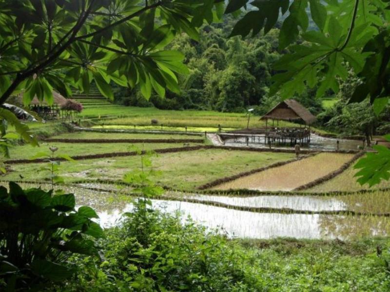 Kamu Lodge