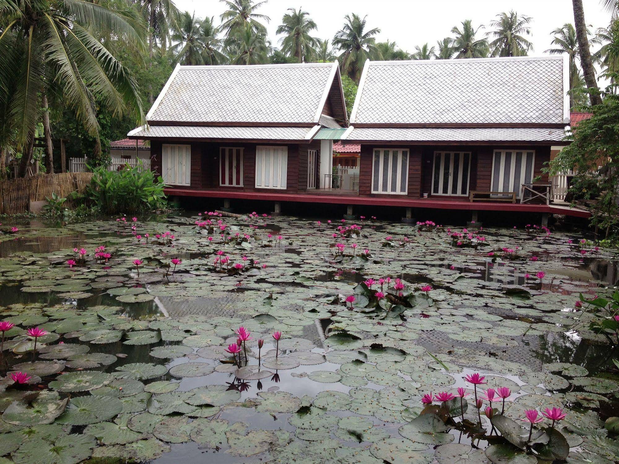 Luang Prabang Oasis - Villa Namnuea