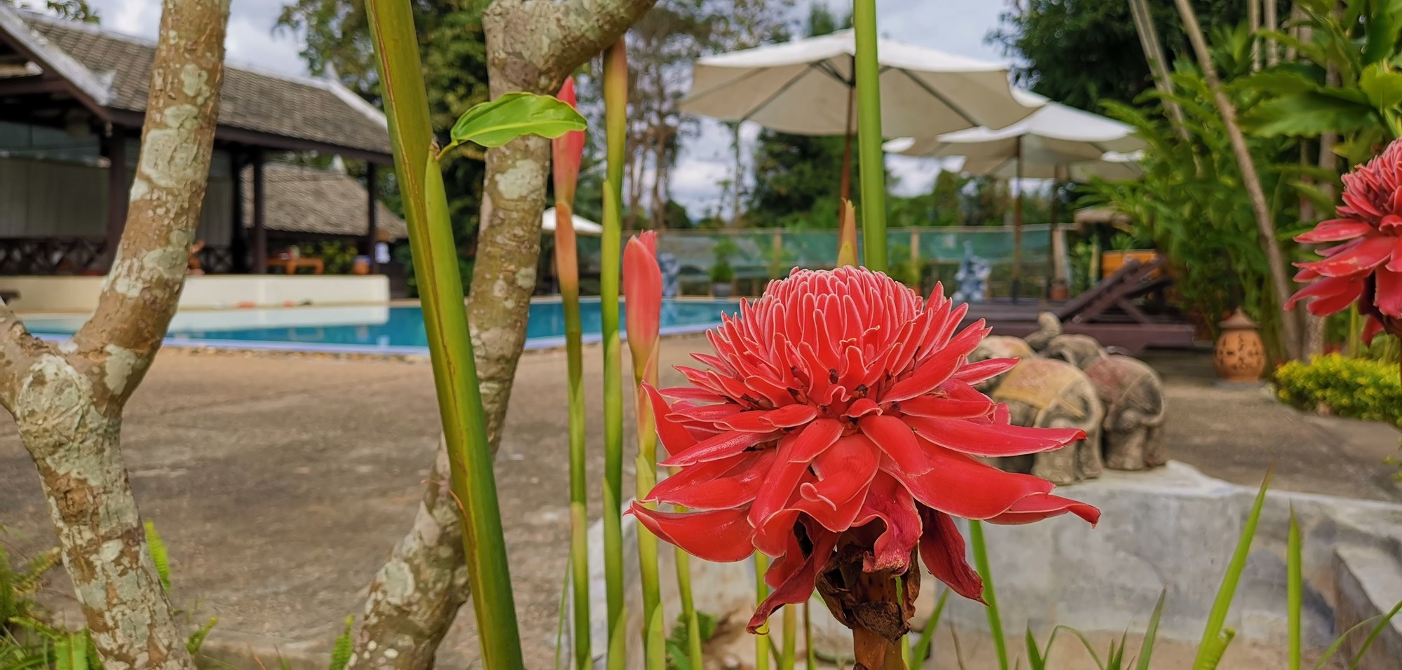 Luang Prabang Paradise Resort