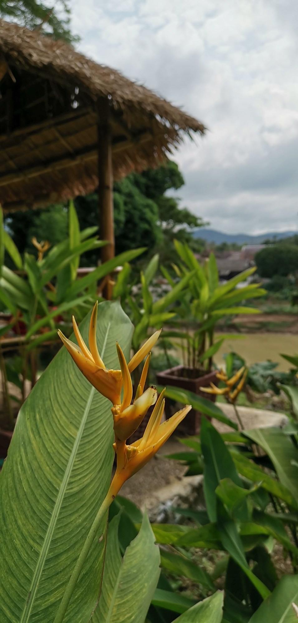Luang Prabang Paradise Resort