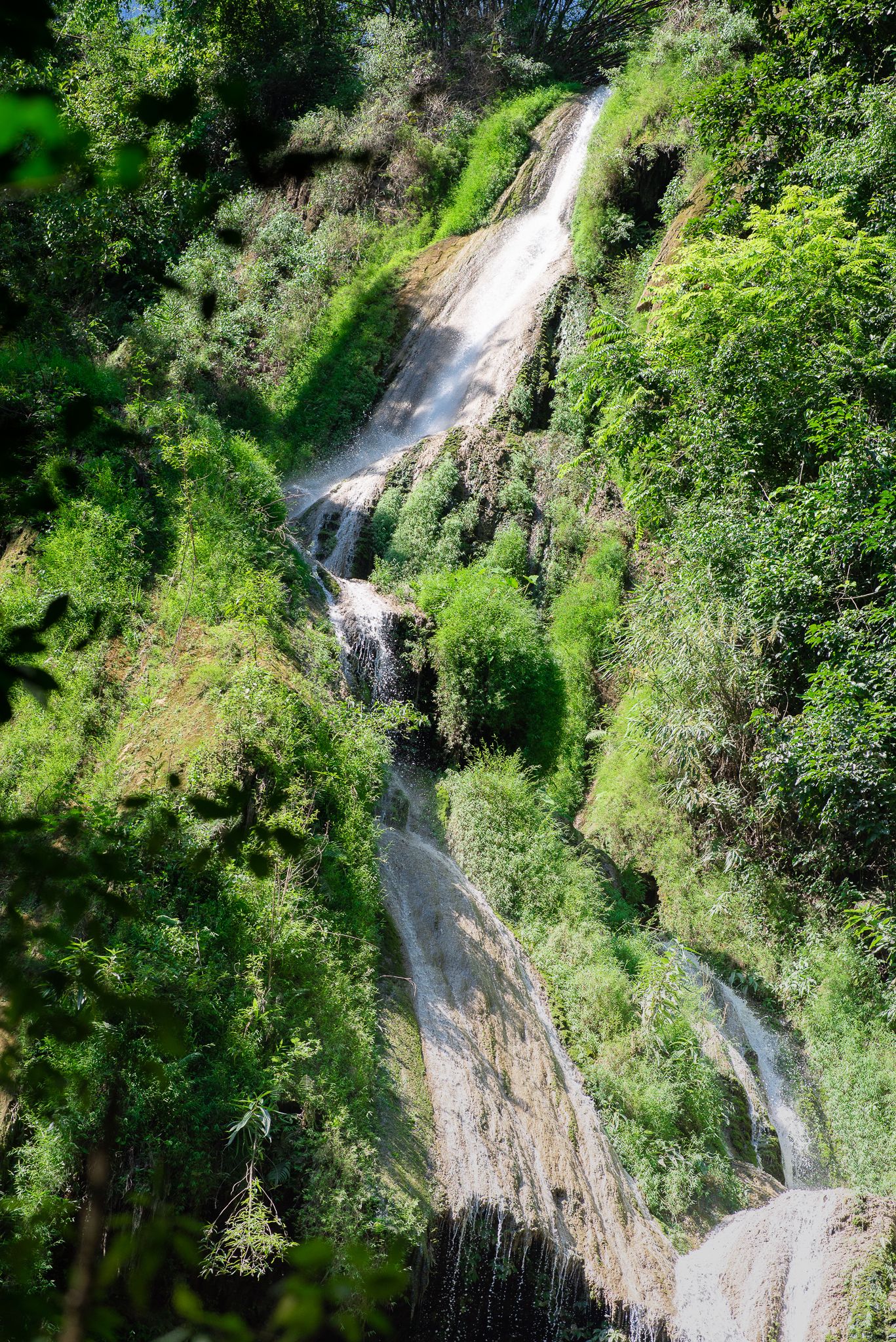 Luxury Camp@Green Jungle Park