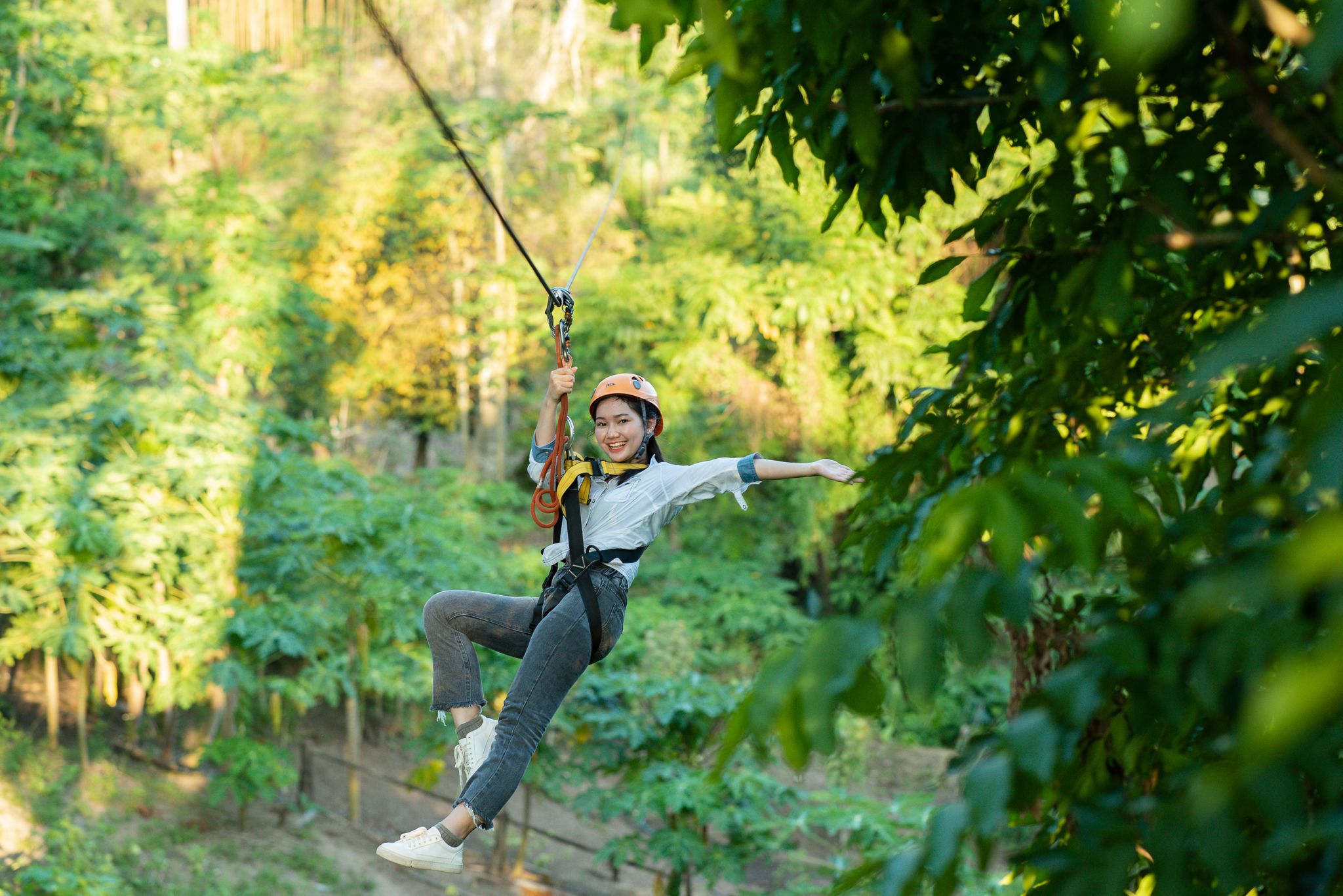 Luxury Camp@Green Jungle Park
