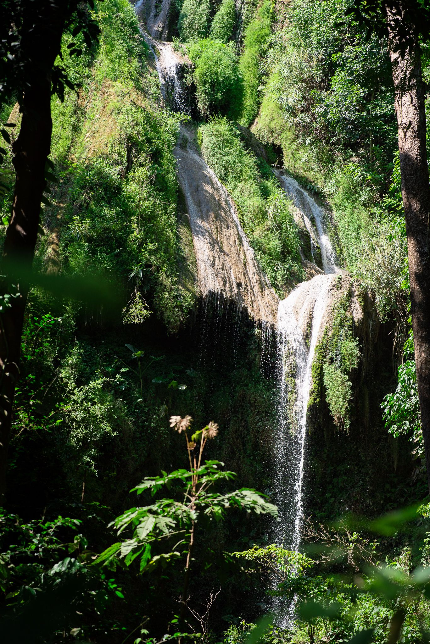 Luxury Camp@Green Jungle Park