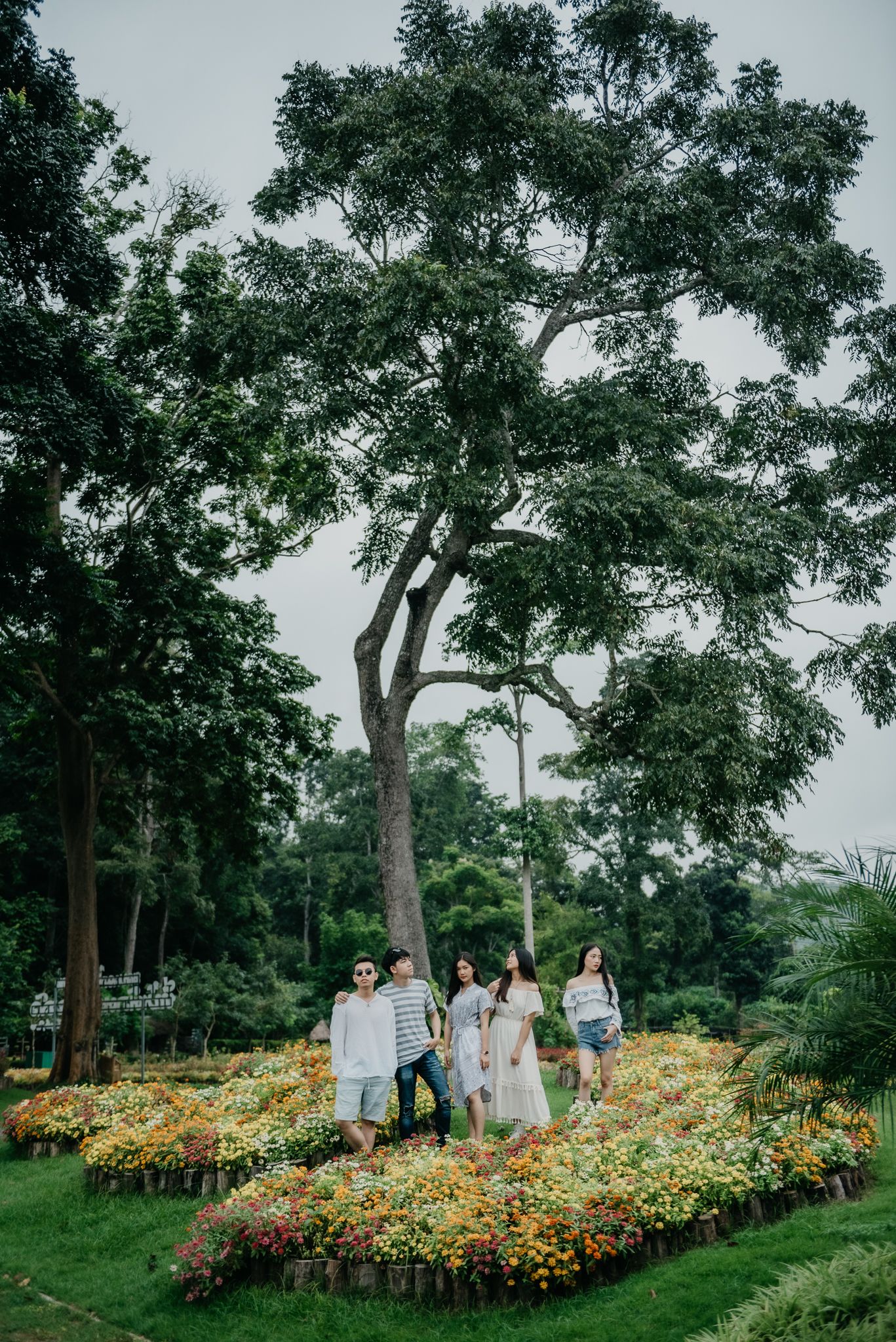 Luxury Camp@Green Jungle Park
