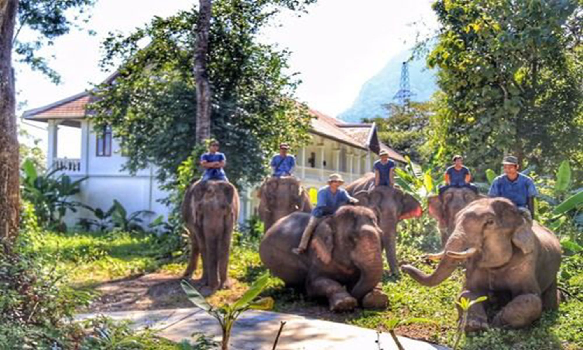 Mahout Lodge