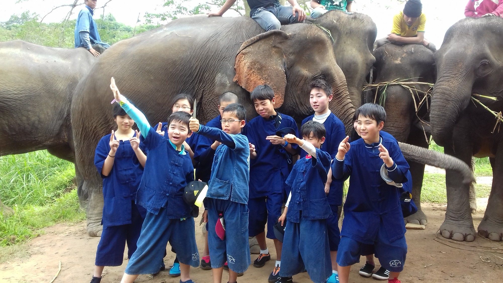 Mahout Lodge