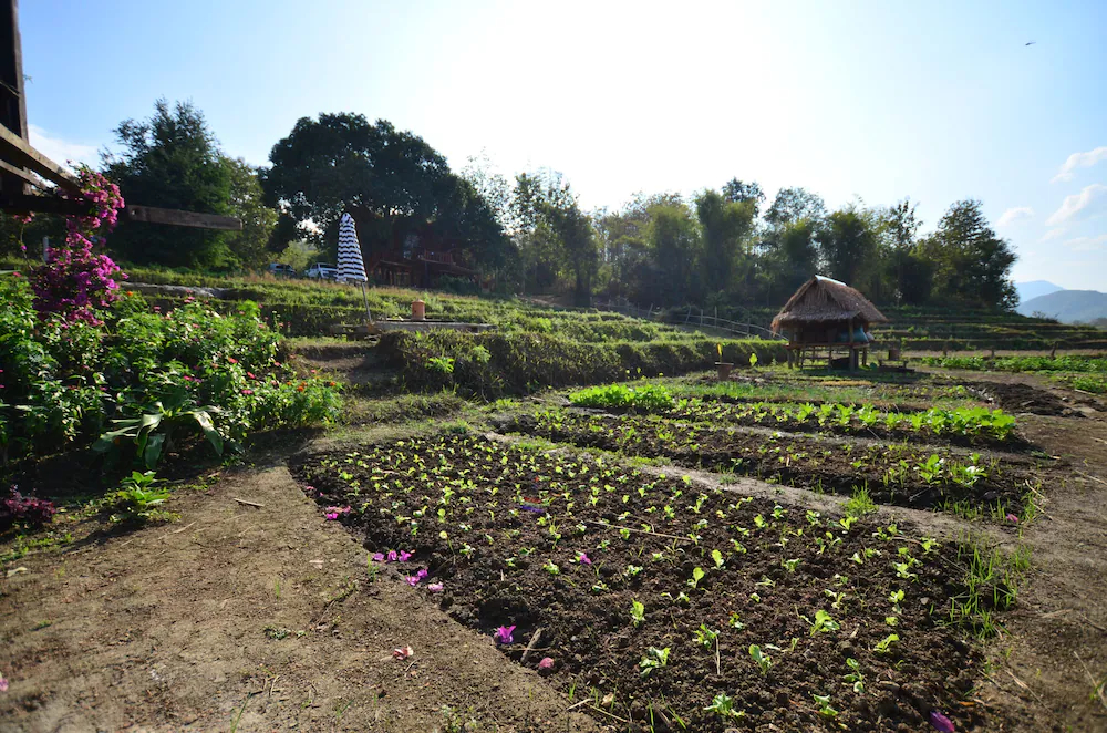 Nakhaohorm Farming Resort Nakhaohorm Farming Resort