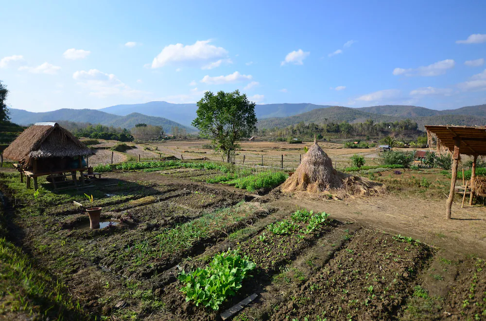 Nakhaohorm Farming Resort Nakhaohorm Farming Resort