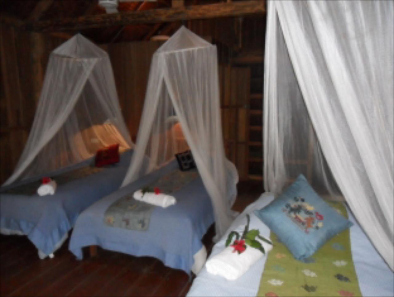 Nam Songsai Eco Lodge