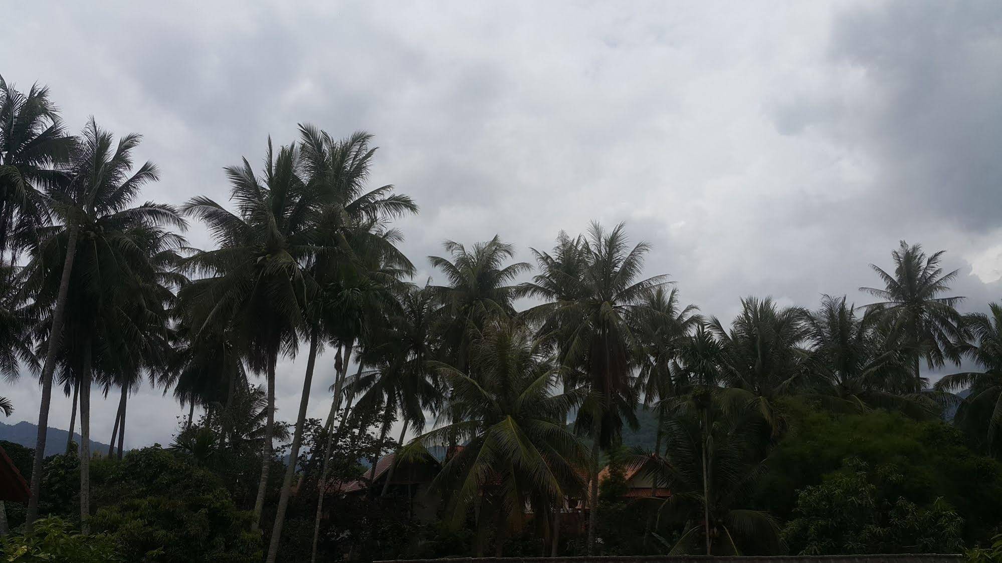 P.P. Guesthouse