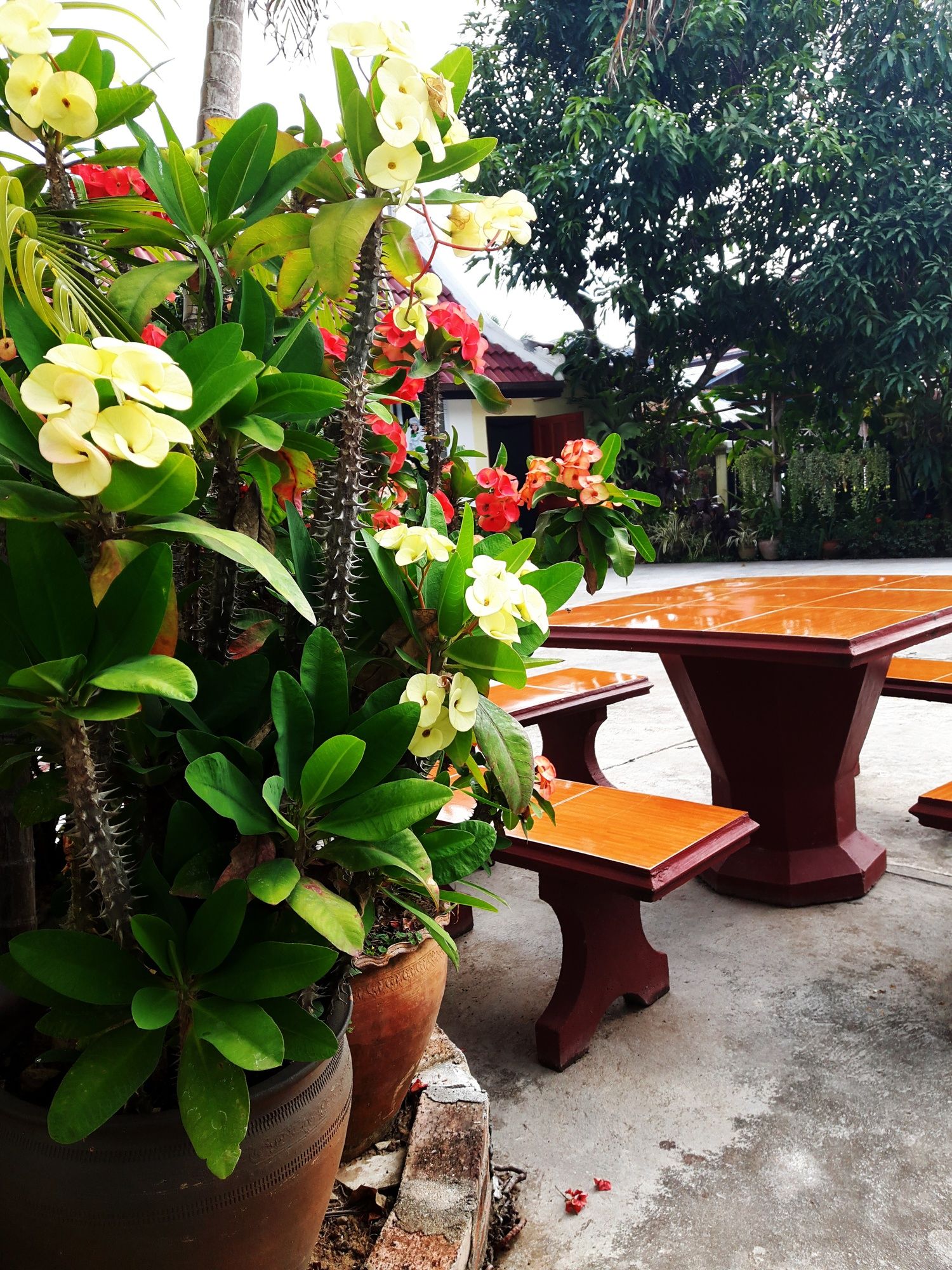 Phone Praseuth Guesthouse